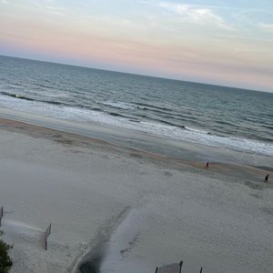 Meet your Posher, Avery